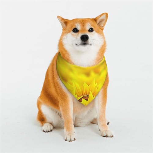 Hundehalstuch, 1 Stück, gelbe Sonnenblumen-Druck, Bandana für Hunde, waschbares Lätzchen, Schal, Katzen-Hundehalstuch, Dreieck-Lätzchen, Schal, verstellbare Hundehalstücher von JCAKES