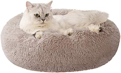 JCT Katzenbett für Hunde, Katzennest, Haustierbett, flauschig, rund, Plüsch, warm, für den Winter, weich, rutschfest, maschinenwaschbar JCT Katzenbett für Hunde, Katzennest, Haustierbett, flauschig, rund, Plüsch, warm, für den Winter, weich, rutschfest, maschinenwaschbar von JCT