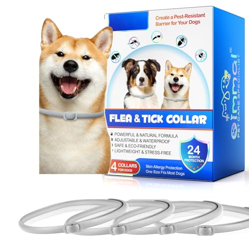 Hundehalsband, 4-teiliges Halsband für Hunde, geeignet für Hunde ab 7 Wochen, 60 cm Hundehalsband, 4-teiliges Halsband für Hunde, geeignet für Hunde ab 7 Wochen, 60 cm von JCZQDRPC
