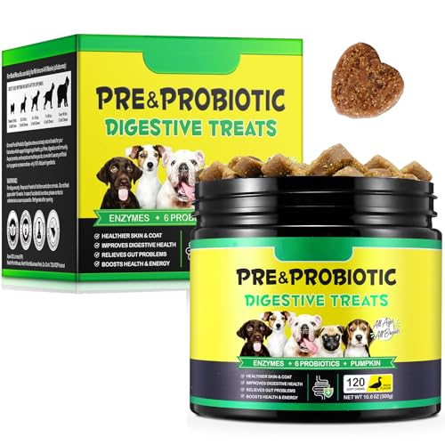 Probiotische Kausnacks für die Verdauung, 120 Stück Probiotische Kausnacks für die Verdauung, 120 Stück von JCZQDRPC