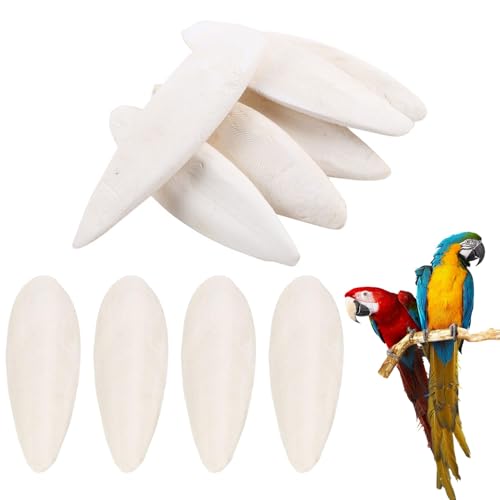 JDCMEI 10 Stück Sepiaschalen, 9-12cm, für Vögel, Reptilien, Schildkröten & mehr, Natürliche Kalzium- & Mineralversorgung JDCMEI 10 Stück Sepiaschalen, 9-12cm, für Vögel, Reptilien, Schildkröten & mehr, Natürliche Kalzium- & Mineralversorgung von JDCMEI