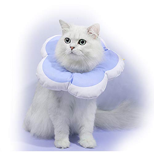 Blume Wasserdichter Elizabeth-Kreis, verstellbares, weiches Haustier-E-Halsband, Halsband, Kreis for Katzen, kleine Hunde / 101 (Color : Purple, Size : Medium) von JDGEU