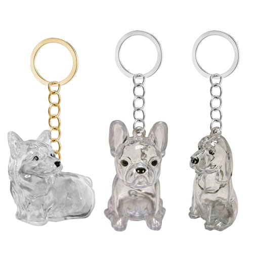 JDNH Aufbewahrungsbox für Tierhaare, Schlüsselanhänger für Hundeliebhaber, Pelzsammler, Schlüsselanhänger, Zubehör, Geschenk, klares Haar, Aufbewahrungsbehälter JDNH Aufbewahrungsbox für Tierhaare, Schlüsselanhänger für Hundeliebhaber, Pelzsammler, Schlüsselanhänger, Zubehör, Geschenk, klares Haar, Aufbewahrungsbehälter von JDNH