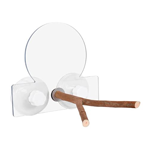 Papageien-Sitzstange aus Naturholz, Saugnapf, Vogel-stehend, Schleifkralle, Spielzeug für kleine Vögel, Vogelsitzstangen, Naturholzständer für Papageien, Nägel, Sittiche, Nymphensittiche Papageien-Sitzstange aus Naturholz, Saugnapf, Vogel-stehend, Schleifkralle, Spielzeug für kleine Vögel, Vogelsitzstangen, Naturholzständer für Papageien, Nägel, Sittiche, Nymphensittiche von JDNH
