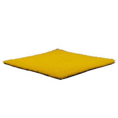 JEAMIS Gazon synthétique, Tapis d'extérieur Pour Chien, Gazon décoratif de Jardin et de Mariage, Hauteur 3 cm JEAMIS Gazon synthétique, Tapis d'extérieur Pour Chien, Gazon décoratif de Jardin et de Mariage, Hauteur 3 cm von JEAMIS