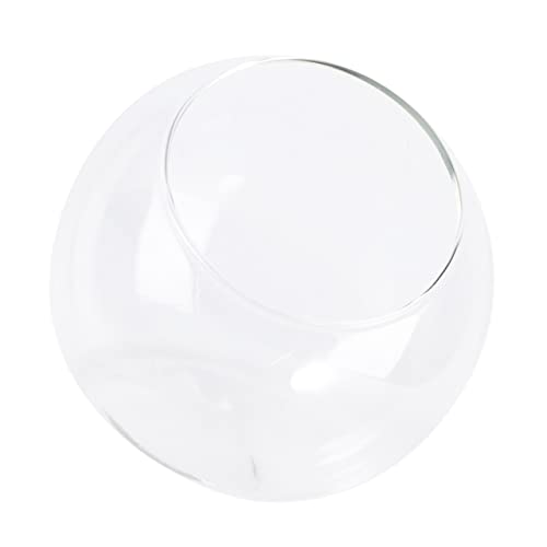 JECOMPRIS 1Stück Mikrolandschaft Glasflasche DIY Terrarium für Moderne Raumdekoration Kompakte Langlebig aus Hochwertigem für Schlafzimmer Wohnzimmer JECOMPRIS 1Stück Mikrolandschaft Glasflasche DIY Terrarium für Moderne Raumdekoration Kompakte Langlebig aus Hochwertigem für Schlafzimmer Wohnzimmer von JECOMPRIS