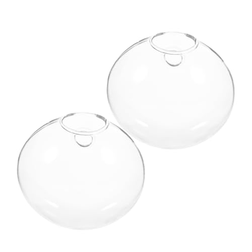 JECOMPRIS 2 Stück Hydroponische Vase Hängende Terrarienkugel Wandhängedekoration Hydrokultur-wandpflanzgefäß Wandmontierte Vase Pflanzterrarien Wandgefäß Für Zimmerpflanzen Glas Transparent JECOMPRIS 2 Stück Hydroponische Vase Hängende Terrarienkugel Wandhängedekoration Hydrokultur-wandpflanzgefäß Wandmontierte Vase Pflanzterrarien Wandgefäß Für Zimmerpflanzen Glas Transparent von JECOMPRIS