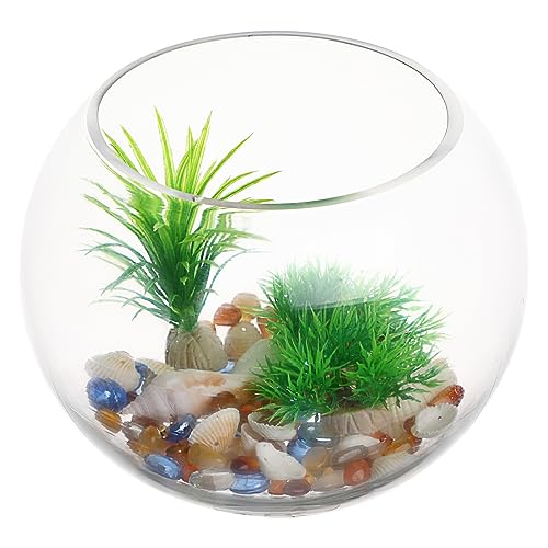 JECOMPRIS Kleiner Runder Glasfischbehälter Transparente Aquarien für Fische und Pflanzen Design für Wohnzimmer und für Goldfische und Dekoration JECOMPRIS Kleiner Runder Glasfischbehälter Transparente Aquarien für Fische und Pflanzen Design für Wohnzimmer und für Goldfische und Dekoration von JECOMPRIS