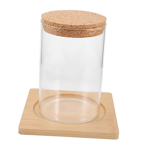 JECOMPRIS Moos-öko-Flasche Grüne Modern Pflanzen Dekorativ Büro Tischplatte Hydroponik Dekoration Wohnkultur Anlage Pflanze Terrarienvase Schreibtisch Pflanzer Saftiges Terrarium Glas JECOMPRIS Moos-öko-Flasche Grüne Modern Pflanzen Dekorativ Büro Tischplatte Hydroponik Dekoration Wohnkultur Anlage Pflanze Terrarienvase Schreibtisch Pflanzer Saftiges Terrarium Glas von JECOMPRIS