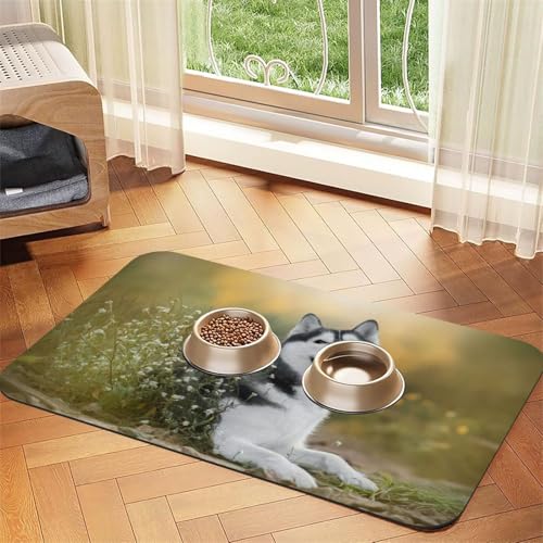 Futtermatte aus PU-Leder mit niedlichem Husky-Aufdruck für Hunde und Katzen, saugfähig, rutschfeste Gummi-Unterseite Futtermatte aus PU-Leder mit niedlichem Husky-Aufdruck für Hunde und Katzen, saugfähig, rutschfeste Gummi-Unterseite von JEJEA