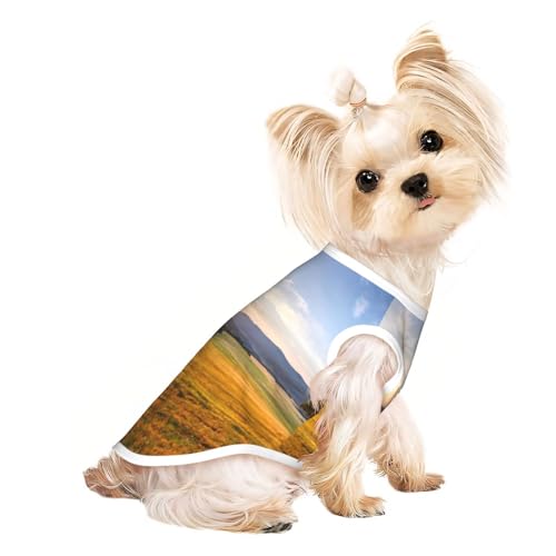 Hundebekleidung für kleine Hunde, Motiv: Herbst-goldenes Gras, Landschaftsdruck, atmungsaktiv, für Welpen, Kätzchen, Hunde und Katzen Hundebekleidung für kleine Hunde, Motiv: Herbst-goldenes Gras, Landschaftsdruck, atmungsaktiv, für Welpen, Kätzchen, Hunde und Katzen von JEJEA