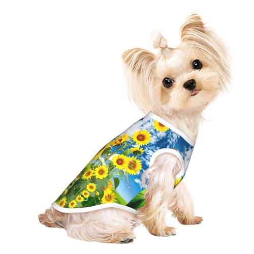 Hundebekleidung für kleine Hunde, Sonnenblumen-Schmetterlings-Aufdruck, atmungsaktiv, für Welpen, Kätzchen, Hunde, Katzen Hundebekleidung für kleine Hunde, Sonnenblumen-Schmetterlings-Aufdruck, atmungsaktiv, für Welpen, Kätzchen, Hunde, Katzen von JEJEA