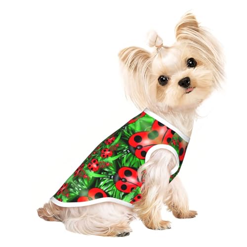 Hundebekleidung für kleine Hunde, atmungsaktiv, Marienkäfer-Aufdruck, für Welpen, Kätzchen, Hunde, Katzen, Rot Hundebekleidung für kleine Hunde, atmungsaktiv, Marienkäfer-Aufdruck, für Welpen, Kätzchen, Hunde, Katzen, Rot von JEJEA