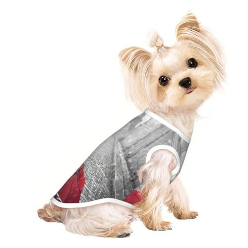 Hundebekleidung für kleine Hunde, atmungsaktiv, Motiv: Eiffelturm, Paris, Straße, roter Regenschirm, für Hunde, Katzen Hundebekleidung für kleine Hunde, atmungsaktiv, Motiv: Eiffelturm, Paris, Straße, roter Regenschirm, für Hunde, Katzen von JEJEA