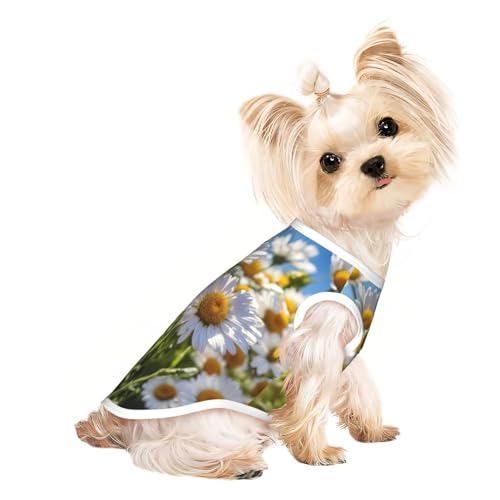 Hundebekleidung für kleine Hunde, atmungsaktiv, Motiv: Wildweiße Gänseblümchen, für Hunde, Katzen Hundebekleidung für kleine Hunde, atmungsaktiv, Motiv: Wildweiße Gänseblümchen, für Hunde, Katzen von JEJEA