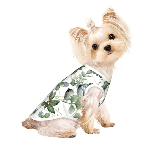 Hundebekleidung für kleine Hunde, atmungsaktiv, Motiv: grüne Eukalyptusblätter, für Welpen, Kätzchen, Hunde und Katzen Hundebekleidung für kleine Hunde, atmungsaktiv, Motiv: grüne Eukalyptusblätter, für Welpen, Kätzchen, Hunde und Katzen von JEJEA