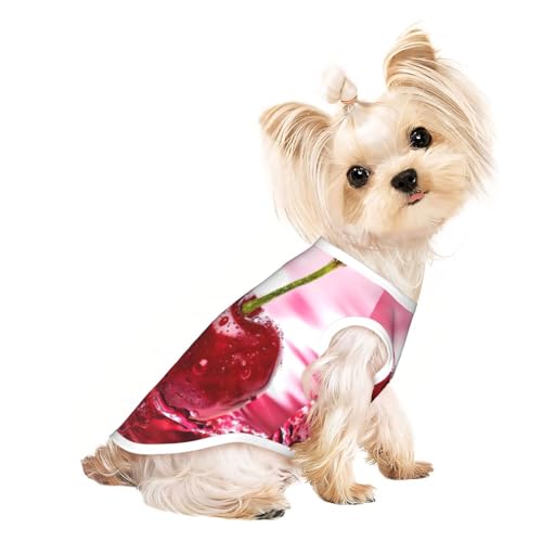 Hundebekleidung für kleine Hunde, atmungsaktiv, für Welpen, Kätzchen, Hunde, Katzen, Rot Hundebekleidung für kleine Hunde, atmungsaktiv, für Welpen, Kätzchen, Hunde, Katzen, Rot von JEJEA