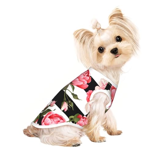 Hundebekleidung für kleine Hunde, atmungsaktiv, für Welpen, Kätzchen, Hunde, Katzen, Schwarz / Weiß gestreift Hundebekleidung für kleine Hunde, atmungsaktiv, für Welpen, Kätzchen, Hunde, Katzen, Schwarz / Weiß gestreift von JEJEA