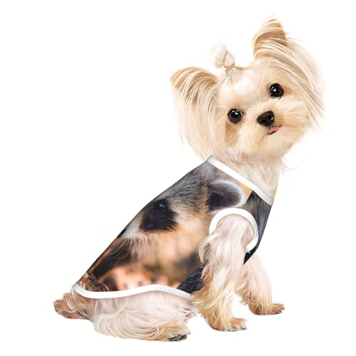 Hundebekleidung für kleine Hunde, atmungsaktiv, für Welpen, Kätzchen, Hunde, Katzen von JEJEA