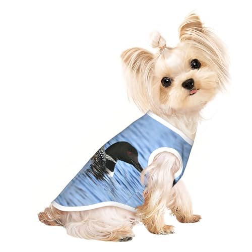 Hundebekleidung für kleine Hunde, atmungsaktiv, für Welpen, Kätzchen, Hunde, Katzen von JEJEA