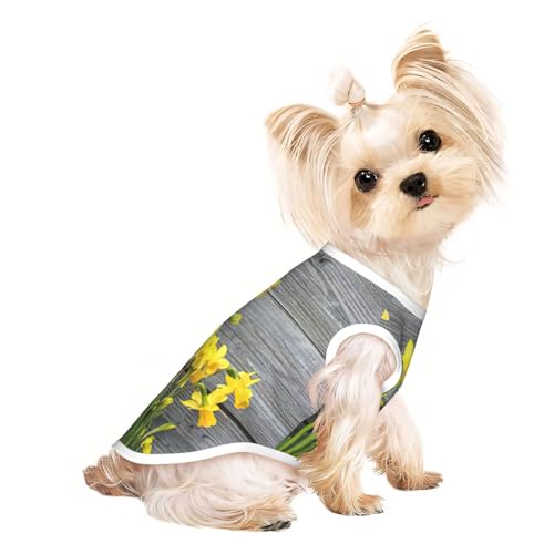 Hundebekleidung für kleine Hunde, atmungsaktiv, für Welpen, Kätzchen, Hunde, Katzen Hundebekleidung für kleine Hunde, atmungsaktiv, für Welpen, Kätzchen, Hunde, Katzen von JEJEA