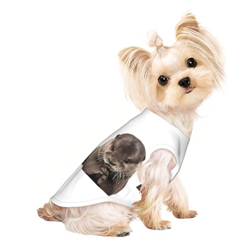 Hundebekleidung für kleine Hunde, atmungsaktiv, für Welpen, Kätzchen, Hunde, Katzen Hundebekleidung für kleine Hunde, atmungsaktiv, für Welpen, Kätzchen, Hunde, Katzen von JEJEA