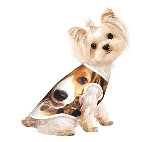 Hundebekleidung für kleine Hunde, atmungsaktiv, mit Beagle-Aufdruck, für Welpen, Kätzchen, Hunde, Katzen Hundebekleidung für kleine Hunde, atmungsaktiv, mit Beagle-Aufdruck, für Welpen, Kätzchen, Hunde, Katzen von JEJEA