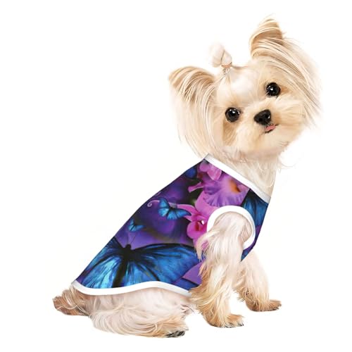 Hundebekleidung für kleine Hunde, mit Schmetterlings-Aufdruck, atmungsaktiv, für Welpen, Kätzchen, Hunde und Katzen Hundebekleidung für kleine Hunde, mit Schmetterlings-Aufdruck, atmungsaktiv, für Welpen, Kätzchen, Hunde und Katzen von JEJEA