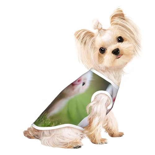 Hundebekleidung für kleine Hunde, mit Schweine-Aufdruck, atmungsaktiv, für Welpen, Kätzchen, Hunde, Katzen von JEJEA