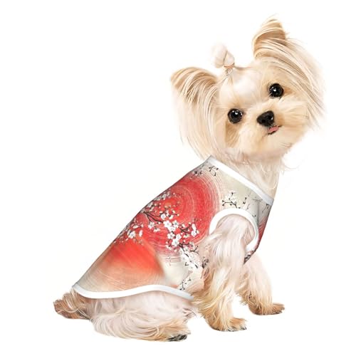 Hundebekleidung für kleine Hunde, mit Sonnenreflexionsdruck, atmungsaktiv, für Welpen, Kätzchen, Hunde und Katzen Hundebekleidung für kleine Hunde, mit Sonnenreflexionsdruck, atmungsaktiv, für Welpen, Kätzchen, Hunde und Katzen von JEJEA