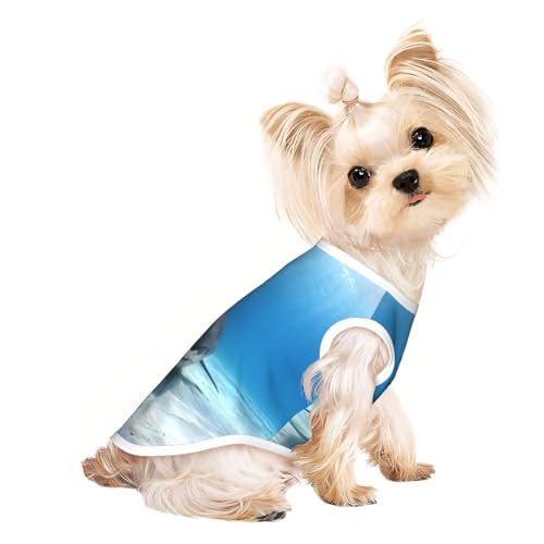 Hundebekleidung für kleine Hunde, mit Tiger-Hai-Aufdruck, atmungsaktiv, für Welpen, Kätzchen, Hunde und Katzen Hundebekleidung für kleine Hunde, mit Tiger-Hai-Aufdruck, atmungsaktiv, für Welpen, Kätzchen, Hunde und Katzen von JEJEA