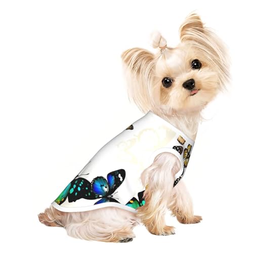Hundebekleidung für kleine Hunde, mit schönem Schmetterlings-Aufdruck, atmungsaktiv, für Welpen, Kätzchen, Hunde und Katzen Hundebekleidung für kleine Hunde, mit schönem Schmetterlings-Aufdruck, atmungsaktiv, für Welpen, Kätzchen, Hunde und Katzen von JEJEA