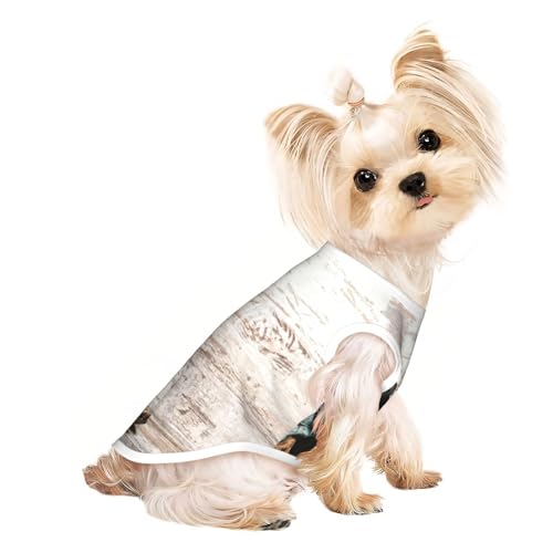 Hundebekleidung mit Cowboyhut und Stiefeln für kleine Hunde, atmungsaktiv, für Welpen, Kätzchen, Hunde und Katzen Hundebekleidung mit Cowboyhut und Stiefeln für kleine Hunde, atmungsaktiv, für Welpen, Kätzchen, Hunde und Katzen von JEJEA
