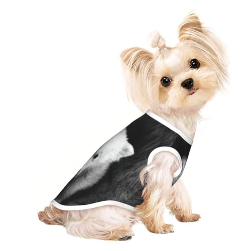 Hundebekleidung mit Eisbär-Aufdruck, für kleine Hunde, atmungsaktiv, für Welpen, Kätzchen, Hunde und Katzen von JEJEA