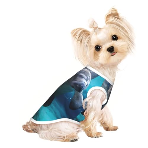 Hundebekleidung mit indischem Seekuh, für kleine Hunde, atmungsaktiv, für Welpen, Kätzchen, Hunde, Katzen Hundebekleidung mit indischem Seekuh, für kleine Hunde, atmungsaktiv, für Welpen, Kätzchen, Hunde, Katzen von JEJEA