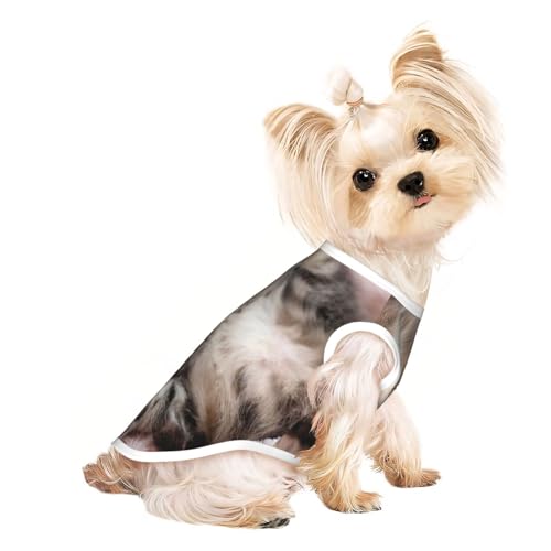 Hundebekleidung mit schlafender Katze, für kleine Hunde, atmungsaktiv, für Welpen, Kätzchen, Hunde, Katzen Hundebekleidung mit schlafender Katze, für kleine Hunde, atmungsaktiv, für Welpen, Kätzchen, Hunde, Katzen von JEJEA