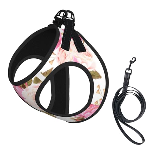 Hundegeschirr und Leine, Set, reflektierend, verstellbar, für kleine, mittelgroße und große Hunde, Katzen Hundegeschirr und Leine, Set, reflektierend, verstellbar, für kleine, mittelgroße und große Hunde, Katzen von JEJEA