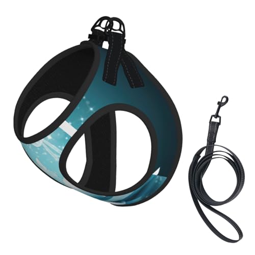 Hundegeschirr und Leine, Set mit Lotusblumen-Aufdruck, reflektierend, verstellbar, Welpenweste für kleine, mittelgroße und große Hunde, Katzen Hundegeschirr und Leine, Set mit Lotusblumen-Aufdruck, reflektierend, verstellbar, Welpenweste für kleine, mittelgroße und große Hunde, Katzen von JEJEA