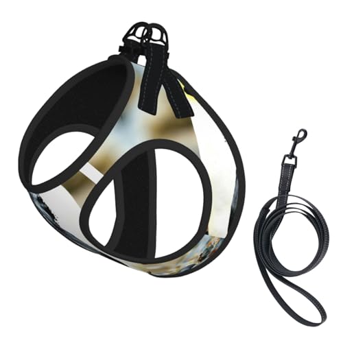 Hundegeschirr und Leine, Set mit Pinguin-Druck, reflektierend, verstellbar, Welpenweste für kleine, mittelgroße und große Hunde, Katzen Hundegeschirr und Leine, Set mit Pinguin-Druck, reflektierend, verstellbar, Welpenweste für kleine, mittelgroße und große Hunde, Katzen von JEJEA
