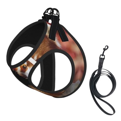 Hundegeschirr und Leine, Set mit rotem Panda-Druck, reflektierend, verstellbar, Welpenweste für kleine, mittelgroße und große Hunde, Katzen Hundegeschirr und Leine, Set mit rotem Panda-Druck, reflektierend, verstellbar, Welpenweste für kleine, mittelgroße und große Hunde, Katzen von JEJEA