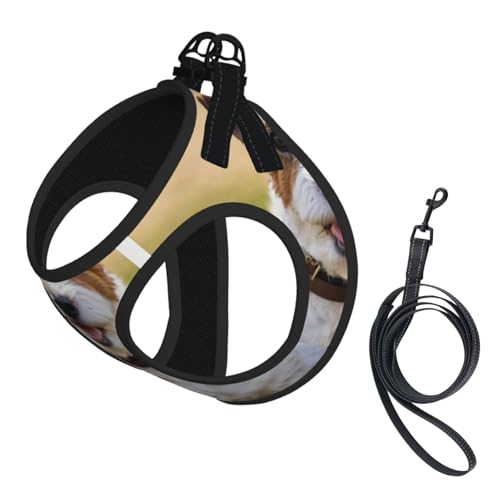 Hundegeschirr und Leine, Set mit süßem Hundedruck, reflektierend, verstellbar, für kleine, mittelgroße und große Hunde, Katzen Hundegeschirr und Leine, Set mit süßem Hundedruck, reflektierend, verstellbar, für kleine, mittelgroße und große Hunde, Katzen von JEJEA