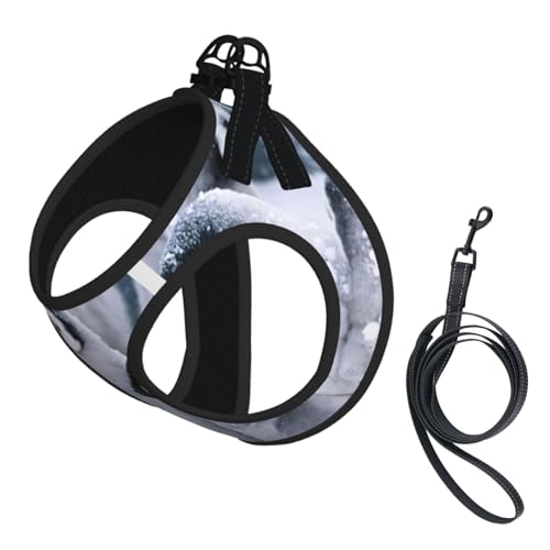 Hundegeschirr und Leine, Set mit süßem Pinguin1-Druck, reflektierend, verstellbar, Welpenweste für kleine, mittelgroße und große Hunde, Katzen Hundegeschirr und Leine, Set mit süßem Pinguin1-Druck, reflektierend, verstellbar, Welpenweste für kleine, mittelgroße und große Hunde, Katzen von JEJEA