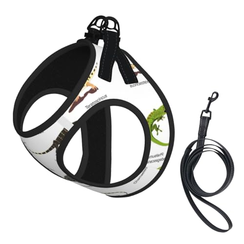Hundegeschirr und Leine, verschiedene Arten von Eidechsen-Druck, reflektierend, verstellbar, Welpenweste für kleine, mittelgroße und große Hunde, Katzen Hundegeschirr und Leine, verschiedene Arten von Eidechsen-Druck, reflektierend, verstellbar, Welpenweste für kleine, mittelgroße und große Hunde, Katzen von JEJEA