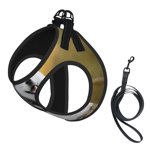 Hundegeschirr und Leine mit niedlichem Husky-Motiv, reflektierend, verstellbar, für kleine, mittelgroße und große Hunde, Katzen Hundegeschirr und Leine mit niedlichem Husky-Motiv, reflektierend, verstellbar, für kleine, mittelgroße und große Hunde, Katzen von JEJEA