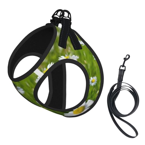 Ladybug Hundegeschirr und Leine, Set mit Gänseblümchen-Druck, reflektierend, verstellbar, Welpenweste für kleine, mittelgroße und große Hunde, Katzen Ladybug Hundegeschirr und Leine, Set mit Gänseblümchen-Druck, reflektierend, verstellbar, Welpenweste für kleine, mittelgroße und große Hunde, Katzen von JEJEA