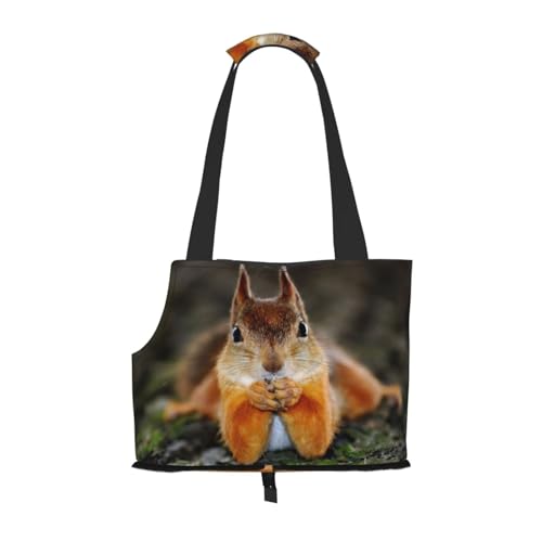 Lustige Tragetasche mit Eichhörnchen-Aufdruck, für kleine Hunde, Katzen und Kaninchen Lustige Tragetasche mit Eichhörnchen-Aufdruck, für kleine Hunde, Katzen und Kaninchen von JEJEA