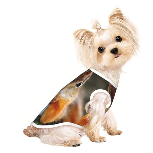 Lustiges Hunde-T-Shirt mit Eichhörnchen-Aufdruck, für kleine Hunde, atmungsaktiv, für Welpen, Kätzchen, Hunde und Katzen Lustiges Hunde-T-Shirt mit Eichhörnchen-Aufdruck, für kleine Hunde, atmungsaktiv, für Welpen, Kätzchen, Hunde und Katzen von JEJEA