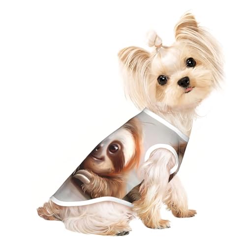 Niedliches Faultier-Hunde-T-Shirt für kleine Hunde, atmungsaktiv, für Welpen, Kätzchen, Hunde, Katzen Niedliches Faultier-Hunde-T-Shirt für kleine Hunde, atmungsaktiv, für Welpen, Kätzchen, Hunde, Katzen von JEJEA