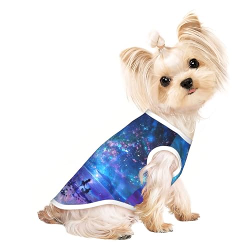 Northern Lights Hundebekleidung für kleine Hunde, atmungsaktiv, für Welpen, Kätzchen, Hunde und Katzen Northern Lights Hundebekleidung für kleine Hunde, atmungsaktiv, für Welpen, Kätzchen, Hunde und Katzen von JEJEA