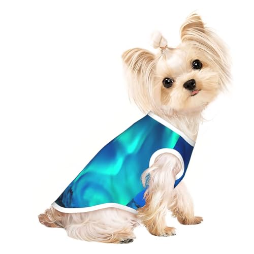 Northern Lights1 Hundebekleidung für kleine Hunde, atmungsaktiv, für Welpen, Kätzchen, Hunde und Katzen Northern Lights1 Hundebekleidung für kleine Hunde, atmungsaktiv, für Welpen, Kätzchen, Hunde und Katzen von JEJEA